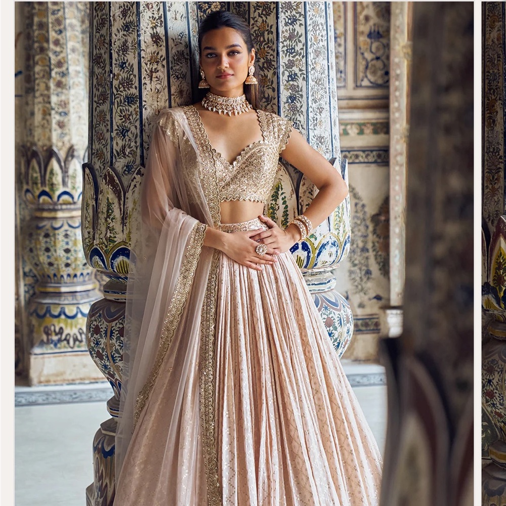 Lashkaraa Nude and Gold Embroidered Lehenga